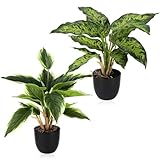 2 Piante Artificiali, 41cm Piante Finte da Interno in Vaso, Piante Artificiali Decorative per Interni, Piccole Mini Piante Artificiali In Vaso, Pianta Finta Realistica per Ufficio, Casa, Decorazione