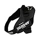 IDC Powerharness, Size: 2/XL, Black - Faux Leather