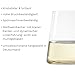 Stölzle Lausitz Weißweinbecher Power 6er-Set 380 ml – Moderne Weingläser ohne Stiel für maximale Aromaentfaltung – Flache Weißweingläser aus Kristallglas – Spülmaschinen- & Stoßfest, Made in Germany