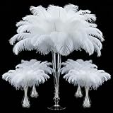 Complete Crafting Kit: 100 premium ostrich feathers length in 8-16'', 100 sturdy metal stems length 9'', and a 49ft adhesive tape roll for hassle-free assembly. Luxuriously Soft & Natural: Made from ethically sourced, naturally shed ostrich plumes. F...