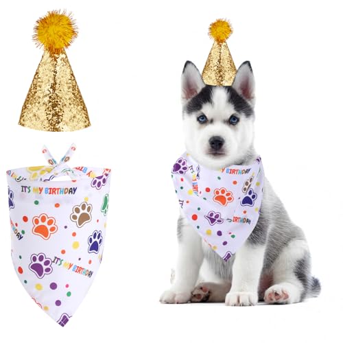 Conjunto de bandana de aniversário de cachorro e chapéu de aniversário de cachorro, roupa de anivers