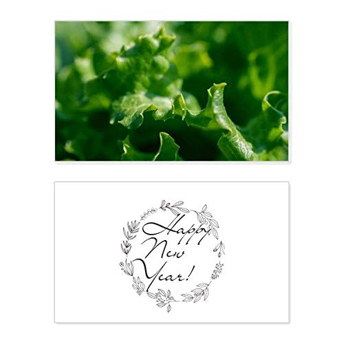 Tarjeta conmemorativa Tender Leaf Plant para fotografía de naturaleza