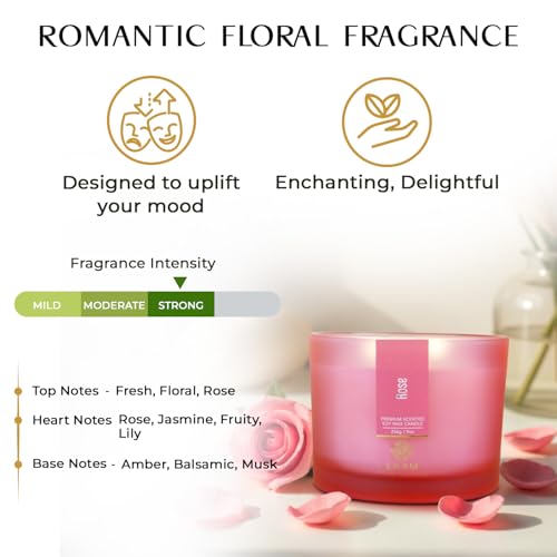 Image of EKAM 3 Wick Soy Wax Scented Candle | Rose Fragrance | 35 Hr Burn | Long Lasting Premium Jar Candle for Home Decor, Relaxation & Gifting