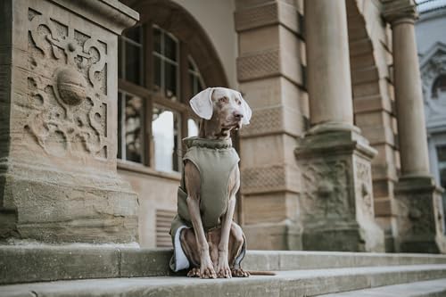 HUNTER Hundemantel UPPSALA TREND, für kalte Tage, wasser- & windabweisend, wärmend, Parka-Stil, modisch, trendig & rustikal, mit Baumwolle, gefüttert, waschbar, verstellbar, Farbe: khaki, Größe: 30