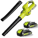 Cordless Leaf Blower - Electric Mini Leaf Blower with 2 Batteries and Charger - 2 Speed Mode - 20V B