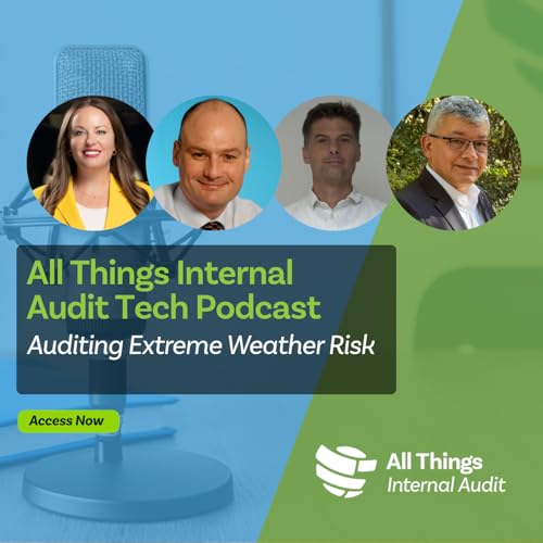 Auditing Extreme Weather Risk