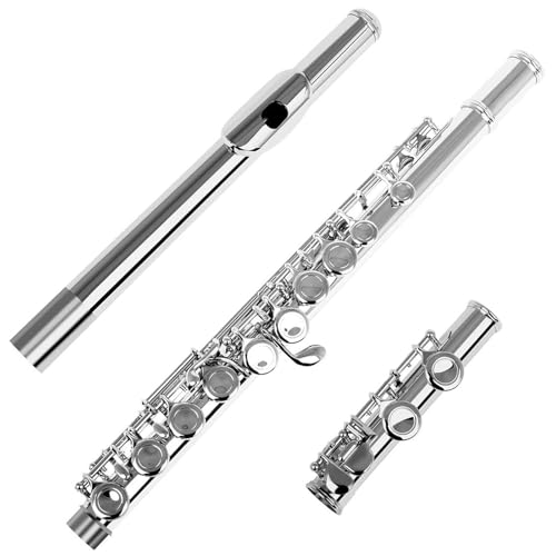 �t���[�g�y�� 16 Closed Open Hole C Key Flute Professional Transverse Flute With E Key Woodwind Instrument Beginner Leather Box(Silver)