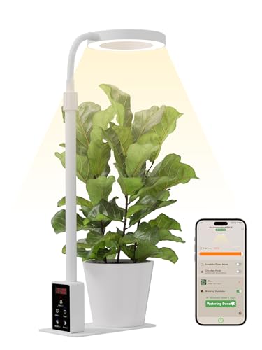 GLOWRIUM Smart LED Grow Lights for Indoor Plants G4, 12W Full Spectrum 3500K with Grow lamp...