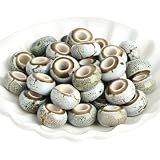 Haute qualité:Les perles rondelles en céramique sont fabriquées en porcelaine de haute qualité., avec une surface lisse et une expérience de port confortable, les couleurs sont vives et ne s'estompent pas facilement, fabriquer des perles rondelles en céramique très durables