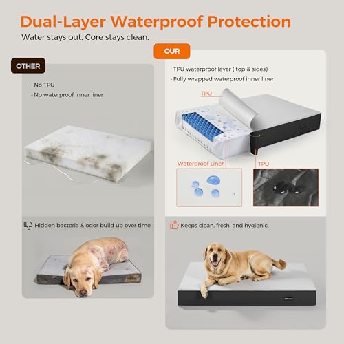 5 Inch Thick Orthopedic Dog Bed - image 4