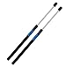 Qty (2) 4365 Rear Window Glass Gas Lift Supports Struts Shocks Springs for Jeep Liberty 2002 2003 2004 2005 2006 2007 PM2029 SG314048