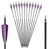 Carbonpfeile 30 Zoll 12/6 Stück Bogenpfeile mit Köcher für Bogenschießen Spine 500 Pfeile mit 4'' Naturfeder Jagdpfeile für Sportbogen Recurvebogen Compoundbogen Outdoor Zielschießen (12 Pfeile)