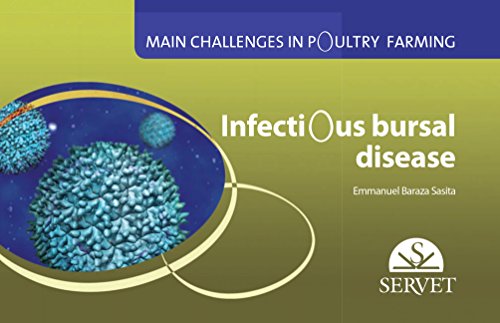 Portada de Main challenges in poultry farming. Infectious bursal disease
