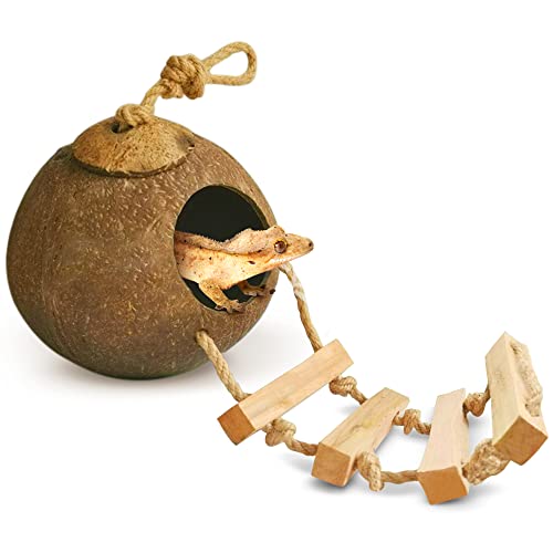Image of SunGrow Crested Gecko, Snake & Ball Python Coco Hut, Treat & Food Dispenser, Climbing Porch, Hiding, Ideal for Reptiles, Amphibians (with Ladder)