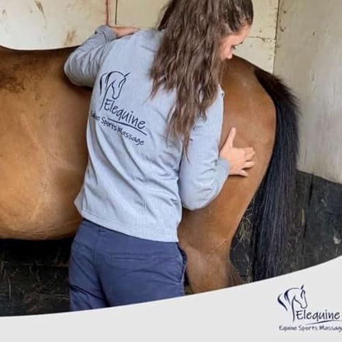 S4 E1 Ellen Osborne - The Equine Sports Massage Therapist