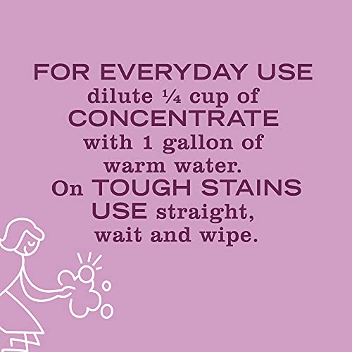 Image of Mrs. MEYER'S CLEAN DAY Multi-Surface Everyday Concentrate, Peony Scent, 32 Fl Oz Bottle (Pack of 4)