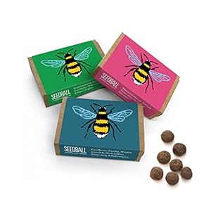 SEEDBALL Bee Boxes (Pack of 3) 6 Seed Balls Per Box | Bee Friendly Wildflower Seeds, A Different British Wildflower Seed…