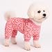 Yoolhamy Hunde Schlafanzug Fleece Hundepyjama Herz Einteiler Pyjama Pullover Valentinstag Strampler Klein Hundeoverall Schlafanzug für Welpen, Chihuahua, Yorkie (M)