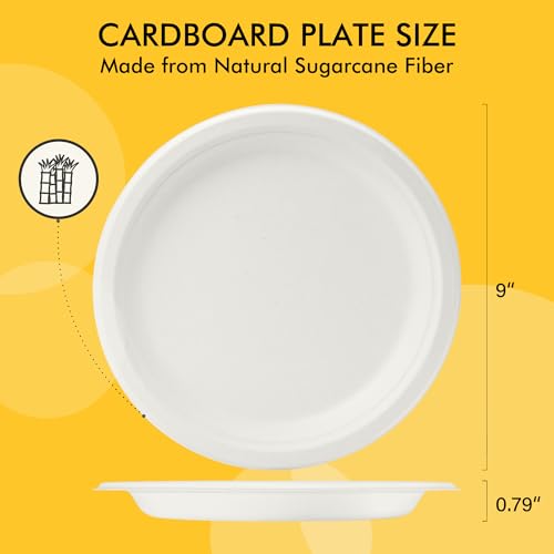 image for RACETOP Disposable Compostable Paper Plates 9 Inch [125 Pack], White B