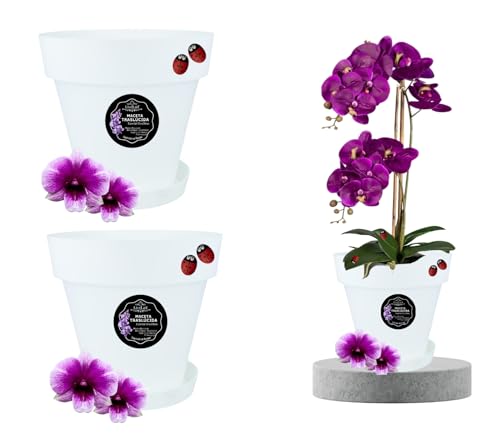 LiveLaif® 2 pcs Ø17 cm- Maceta Orquidea Traslúdida + Plato Maceta | Maceta Orquidea Transparente | Maceta Plastico | Macetas para Orquídeas Transparente | Macetero Orquidea (2, ⊘17 cm)