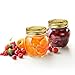 Bormioli Rocco Quattro Stagioni Amphora Small Glass Canning Jar with Lid, 17 oz., Set of 12