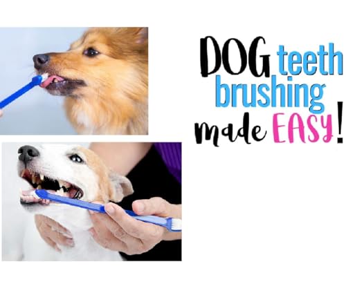 Pet Toothbrush Dual End Bulk Packs Dog and Cat Oral Health Select Color Quantity Great for Gifts and Donations (Assorted - 50 Toothbrushes)
