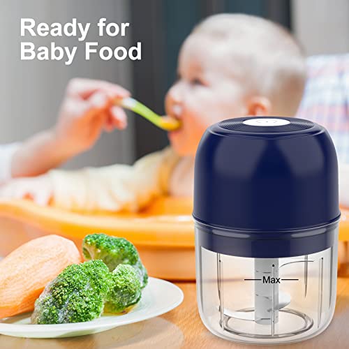 2 In 1 Electric Mini Garlic Chopper, More Powerful Wireless Garlic Press Chopper,Portable 250Ml Cups Garlic Blender For Vegetable,Fruit,Waterproof Silicon Surface 250+250Ml (Blue) #TOP5