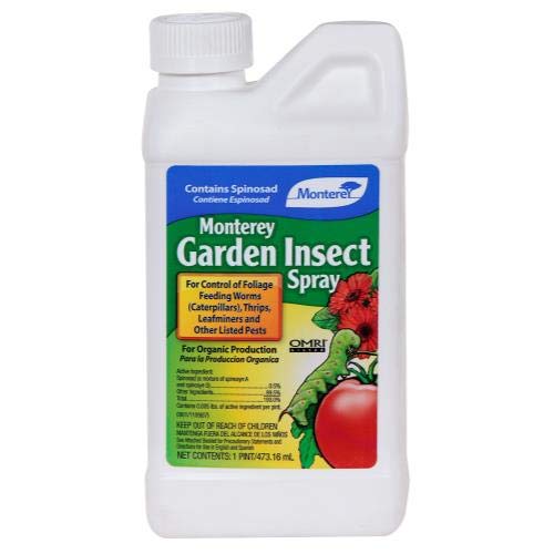 Monterey LG6150 1 Pint Monterey Garden Insect Spray Concentrate