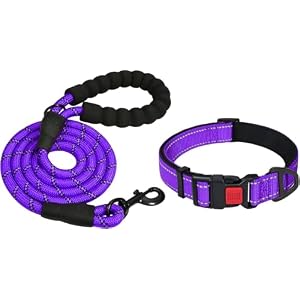 Taglory 18"-28" Length, 1 1/4" Wide Dog Collar and Leash Set, 1/2" x 4 FT Highly Reflective Threads Dog Leash for Large Dogs,Purple