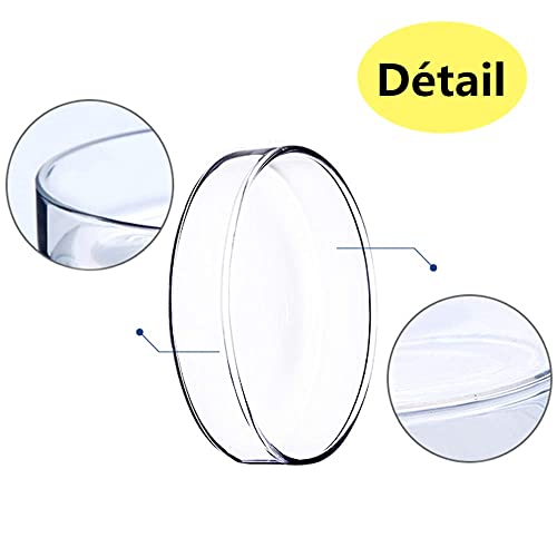 LATRAT 20 pcs Petri Dishes, Boîtes De Pétri En Plastique Stérile, Boite de Petri steriles w/couvercles pour Laboratoire De Cellule Cellulaire Culture Tissulaire, 90 mm – vue 3