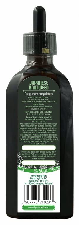 Japanischer Knotweed alkoholfreier Extrakt (200 ml)