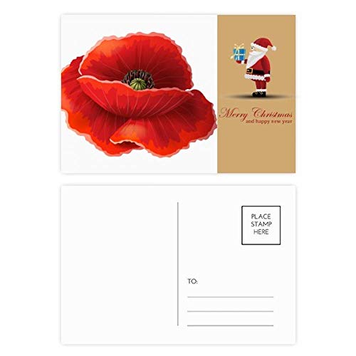 Cartes postales fleurs rouges et coquelicots en lot de 20 pour vos correspondances