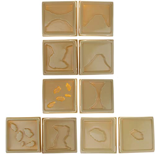 Sharplace 10 Pezzi Giocattolo Terra Montessori Strumento di Aiuto Geografico di Insegnamento Scolastico per Bambini
