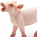 Safari Ltd. Playful Piglet Figurine - Lifelike 2