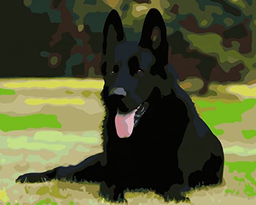 Peinture au diamant 5D chien noir strass rond carré 30x40 cm