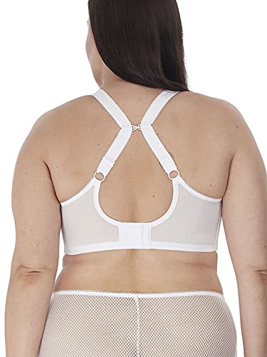 Image of Elomi Women's Charley Stretch Plunge Bra: Stretch Lace & Mesh, Racerback Option. Low Plunge UK Sizes D-JJ, US Sizes D-N