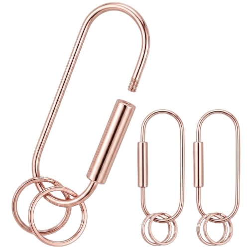 Image of WILLBOND Brass Carabiner Key Ring Locking Screw Carabiner Clips | Round Key Rings, Brass Keychain Kit, Handbags Purse Bag Charm, Universal for Men and Women, 2 Shape