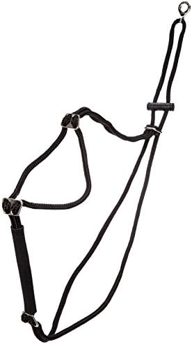 holt dog harness