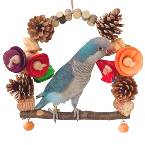 Bird Swing with Chewing Toys, Bird Cage Toy for Lovebirds Parrots Budgies Cage Bird Stand Swing Cage Decorations Toy Swing Toy for Parakeets Cockatiel Quaker Conure