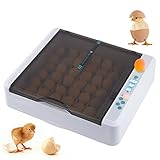 Incubadora de Huevos