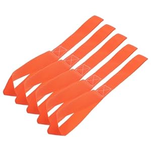 415dw8o2+il. sl500 . ss300