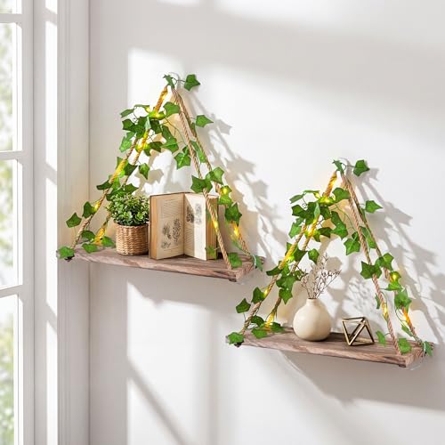 FancyPlus 2 Pack with LED & Ivy