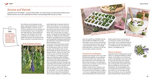Kräuter Basics: Alles, was Aromafans wissen müssen...
