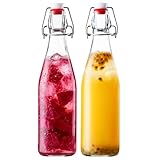 FrutPunch 16OZ Swing Top Glass Bottles, 2 Pack Flip Top Glass Bottle with Airtight Lid for Fermentation, Kombucha, Mead, Coquito, Vinegar, Beer, Kefir, Wine, Soda, Juice for Home Brewing