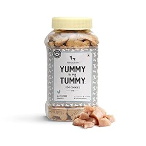 Heads Up For Tails Yummy In My Tummy Real Chicken Dog Biscuits – 800 Gm | Gluten Free | Real Chicken | No Flavour Added | Preservative Free | Suitable For All Breeds, All Life Stages