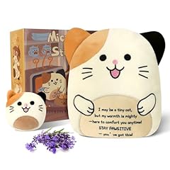 Cat Stuffed Animal With Words