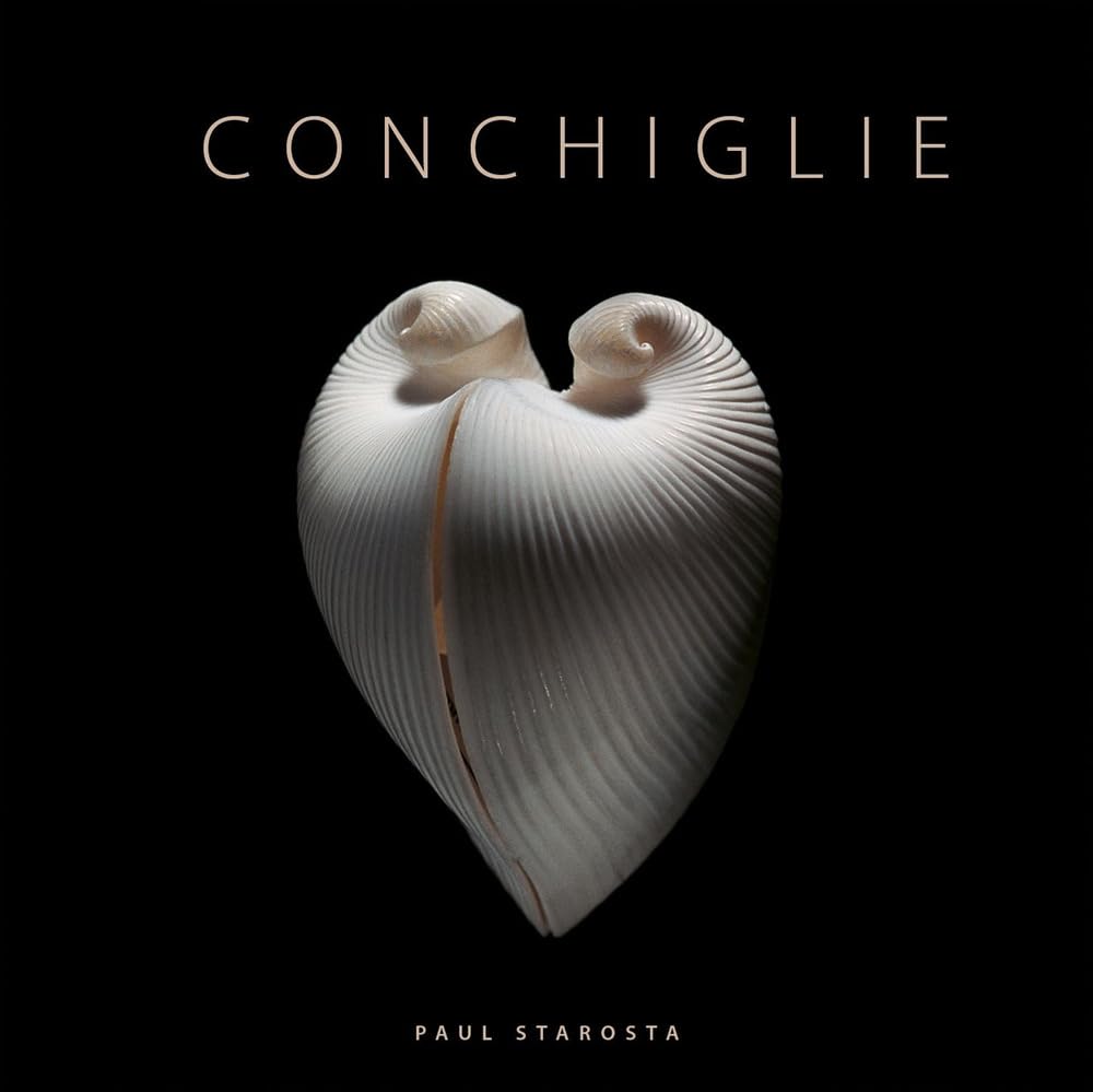 Conchiglie. Ediz. a colori