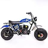 Trailmaster Mini Bike mb 200X Hurricane All New with Front and Rear Brakes, 196cc (Blue)