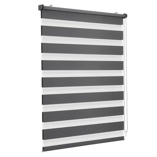 Sekey Doppelrollo Klemmfix ohne Bohren für Fenster, Doppelrollo 35 cm breit, Duo Rollo Jalousie Sonnenschutz, 35x100cm, Dunkelgrau