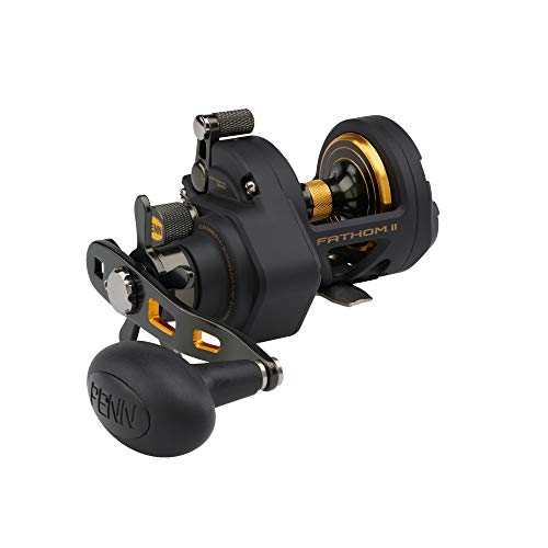 Penn FTHII12SD PENN Fathom II Star Drag Conventional Fishing Reel, Black Gold